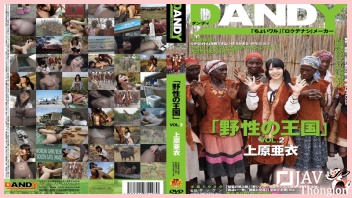 DANDY-368 ตะลุยแดนคนป่าแอฟริกากับ ไอ อุเอฮาระ หนังAVญี่ปุ่นไม่เซ็นเซอร์ Ai Uehara เบื่อแล้วควยญี่ปุ่นอยากโดนควยแอฟริกา XXX ไอดอลสาวคนสวยเลยพาไปตะลุยป่า ก่อนแหกขาอ้าหี ให้พวกชนเผ่าคนป่าควยใหญ่ จับกระหน่ำเย็ดกระซวกหีเอาท์ดอร์จนรูหีโบ๋บาน